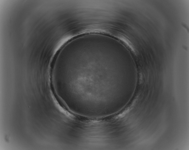 X0000091891038200709051339