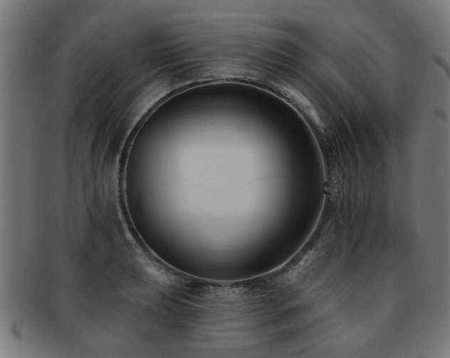 X0000091891039200709051340