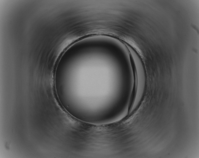 X0000091891040200709051340