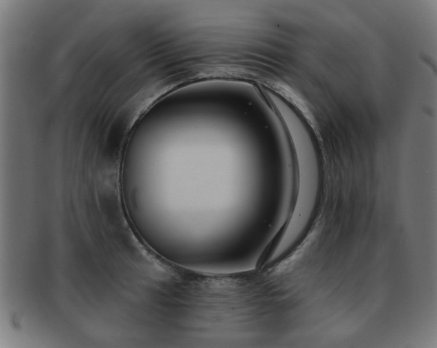 X0000091891041200709051340