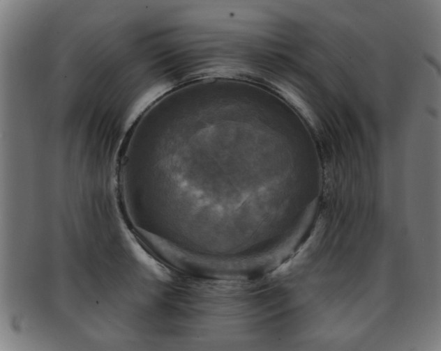 X0000091891042200709051340