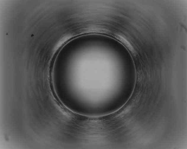 X0000091891043200709051340