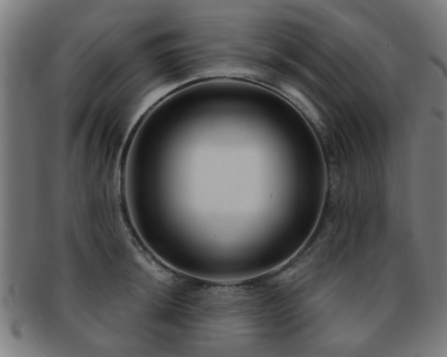 X0000091891044200709051340