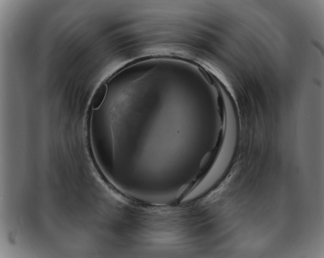 X0000091891045200709051340
