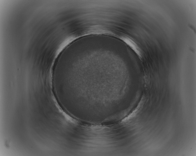 X0000091891046200709051340