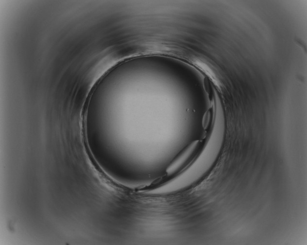 X0000091891047200709051340