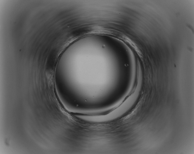 X0000091891049200709051340