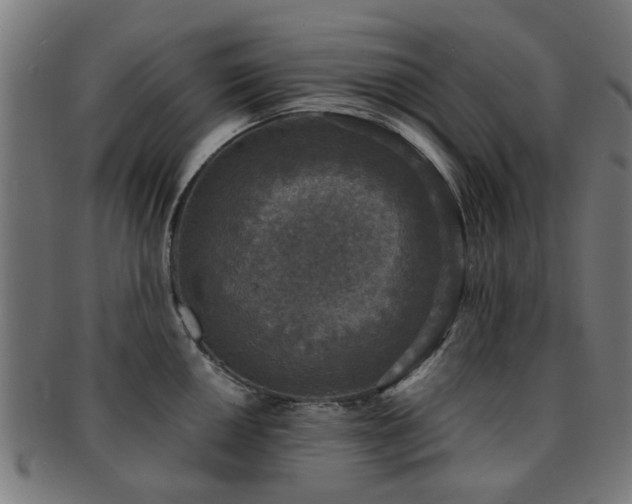 X0000091891050200709051340