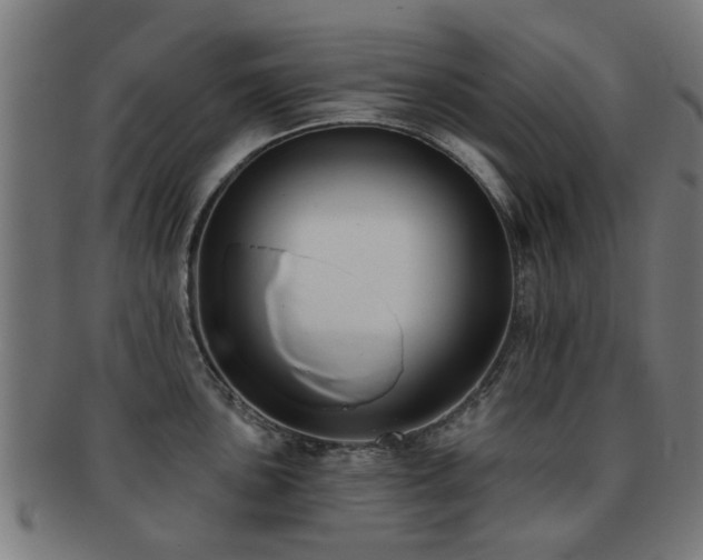 X0000091891051200709051340