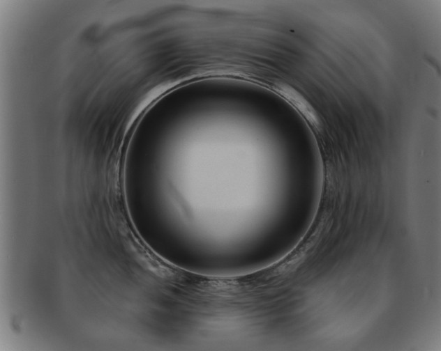X0000091891052200709051340