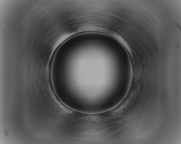 X0000091891053200709051340