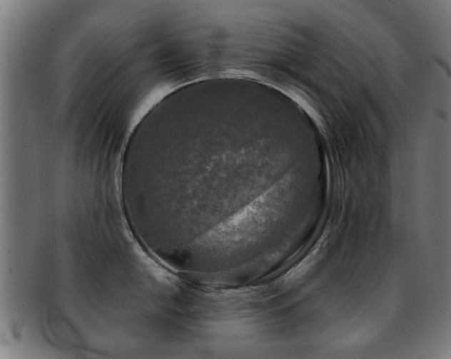 X0000091891054200709051340
