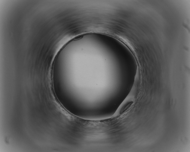 X0000091891056200709051340