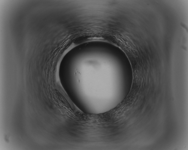 X0000091891057200709051339
