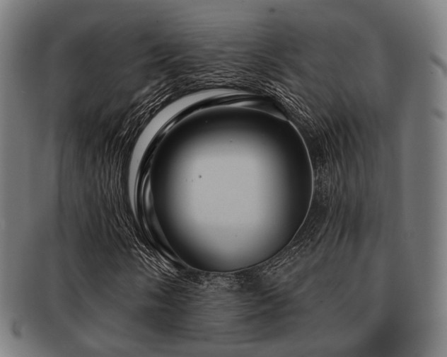X0000091891058200709051339