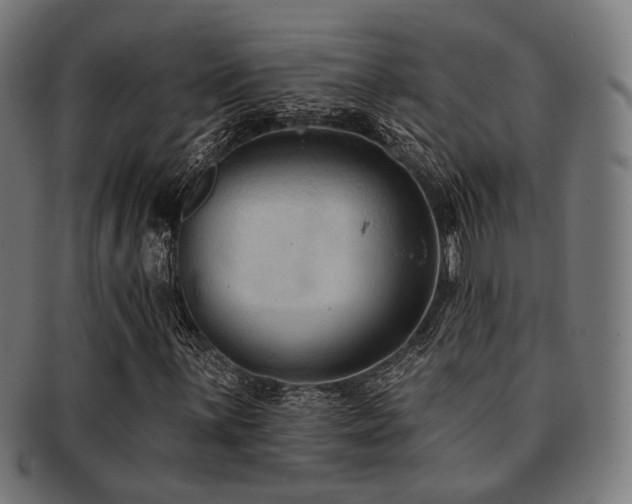 X0000091891059200709051339