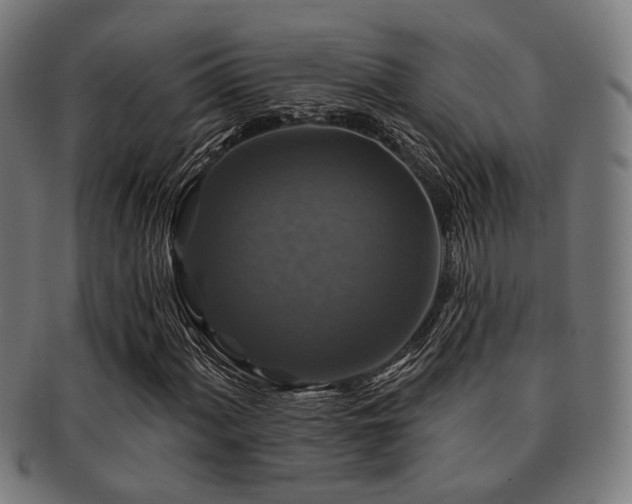 X0000091891060200709051339