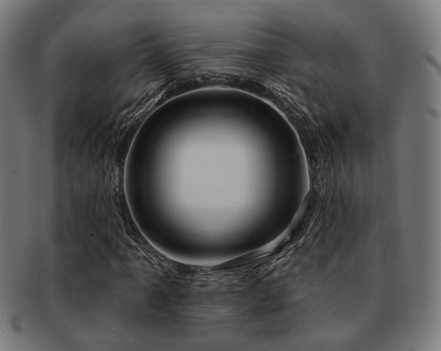 X0000091891061200709051339