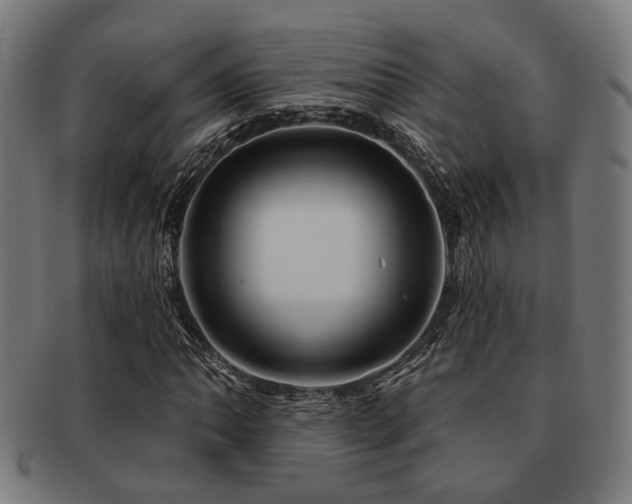 X0000091891062200709051339