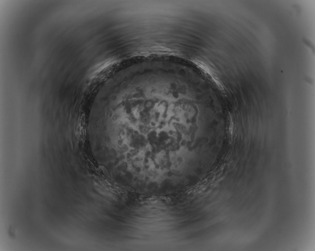 X0000091891063200709051339