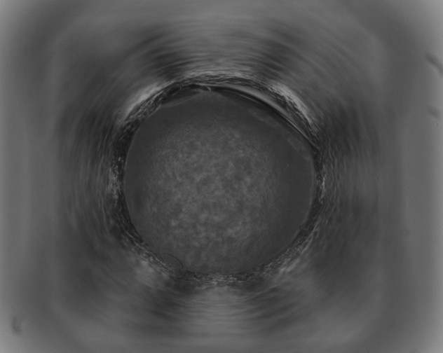 X0000091891064200709051339
