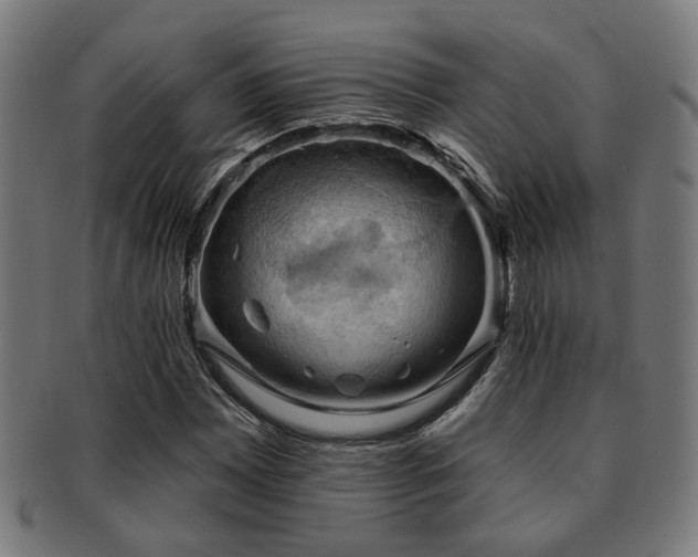 X0000091891065200709051339