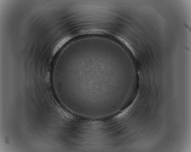X0000091891066200709051339