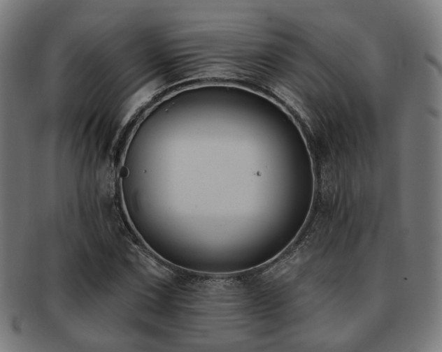 X0000091891067200709051339