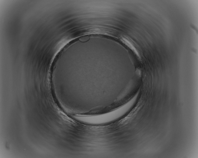 X0000091891068200709051339