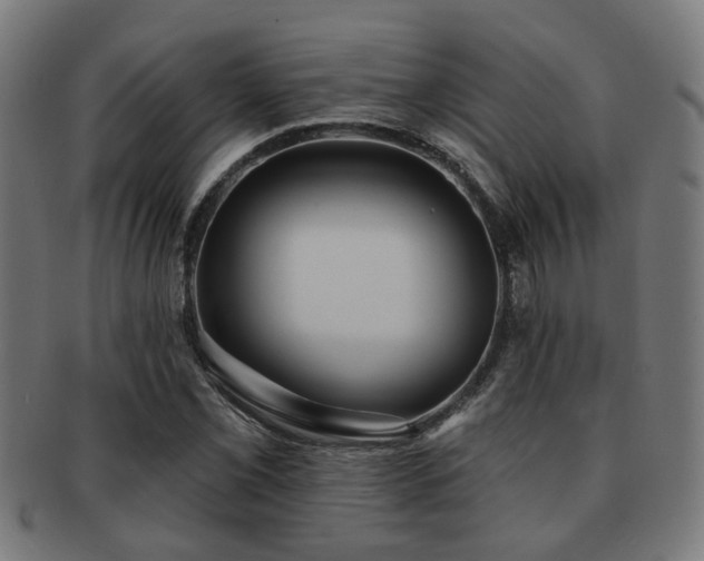 X0000091891069200709051339