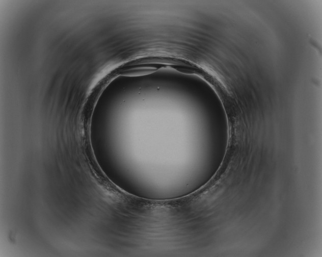 X0000091891070200709051339