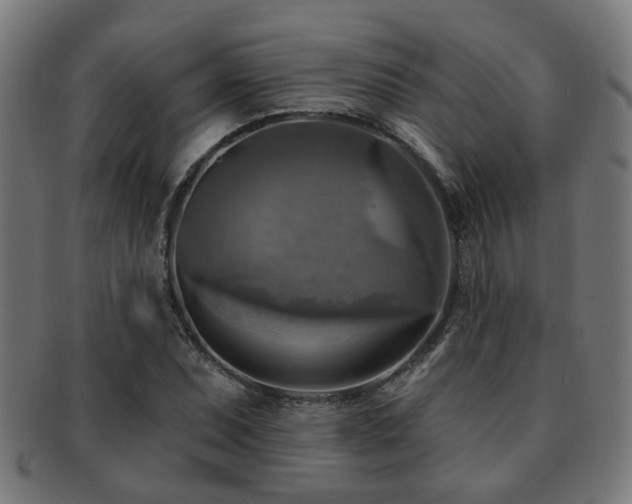 X0000091891071200709051339
