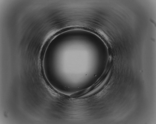 X0000091891072200709051339