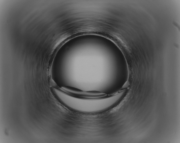 X0000091891073200709051339