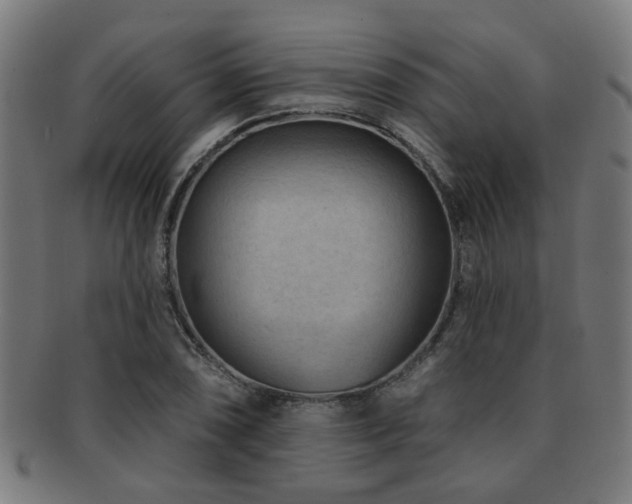 X0000091891074200709051339