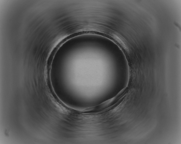 X0000091891076200709051339