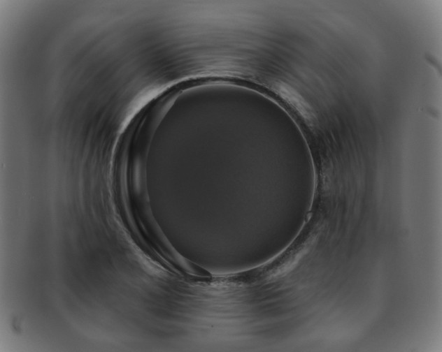 X0000091891077200709051339