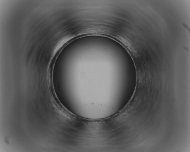 X0000091891078200709051339