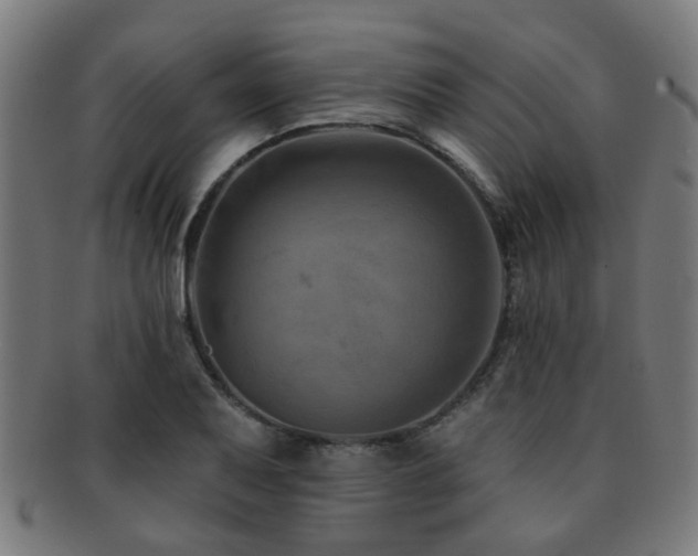 X0000091891079200709051339