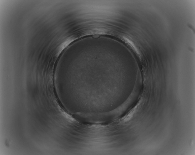 X0000091891081200709051339