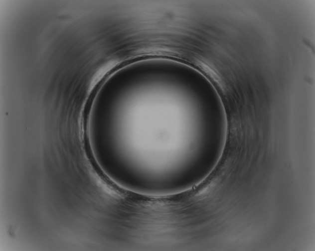 X0000091891082200709051339