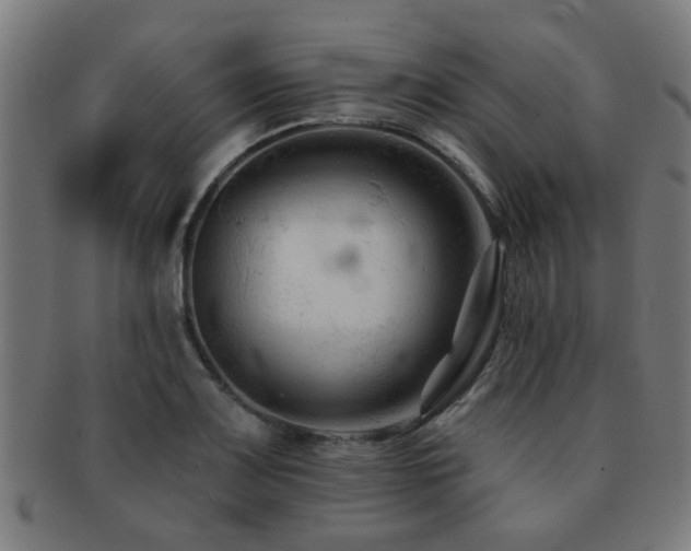 X0000091891083200709051338