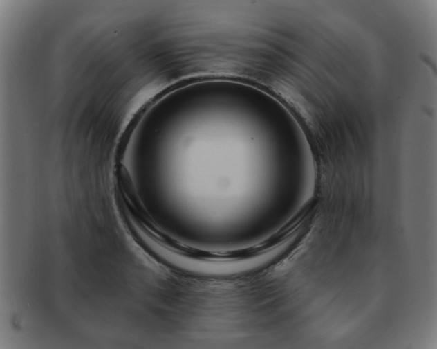 X0000091891085200709051338