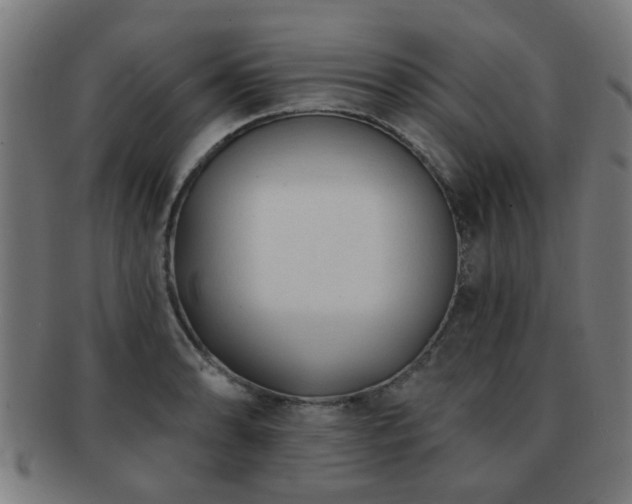 X0000091891086200709051338