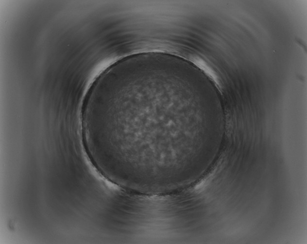 X0000091891088200709051338