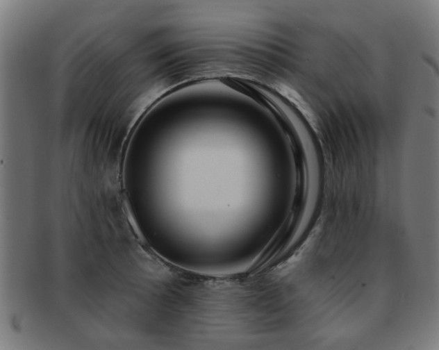 X0000091891089200709051338