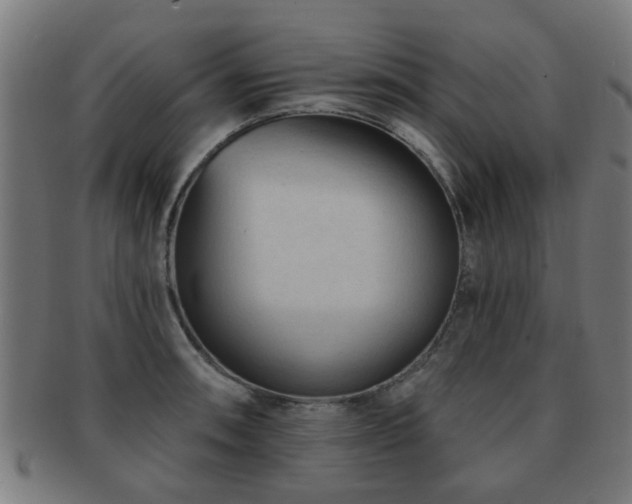 X0000091891090200709051338