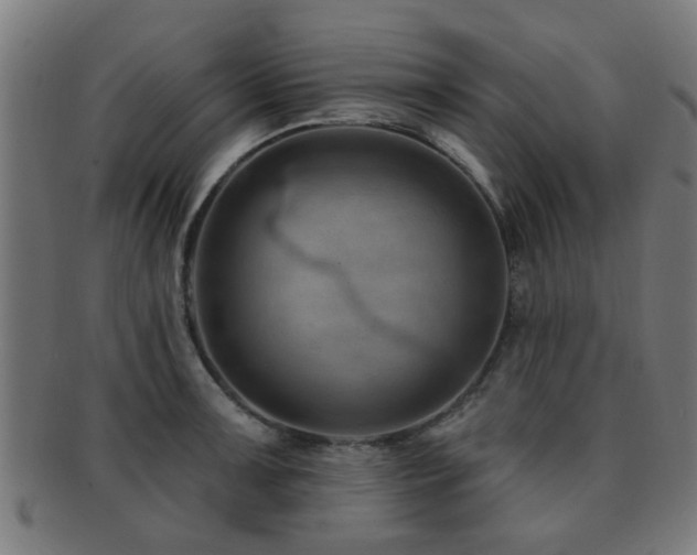 X0000091891091200709051338