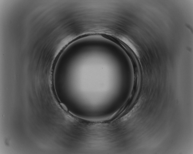 X0000091891093200709051338