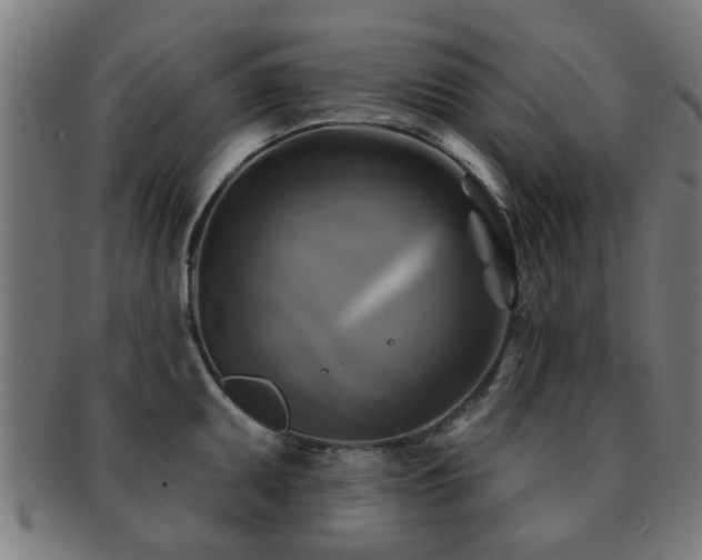 X0000091891095200709051338